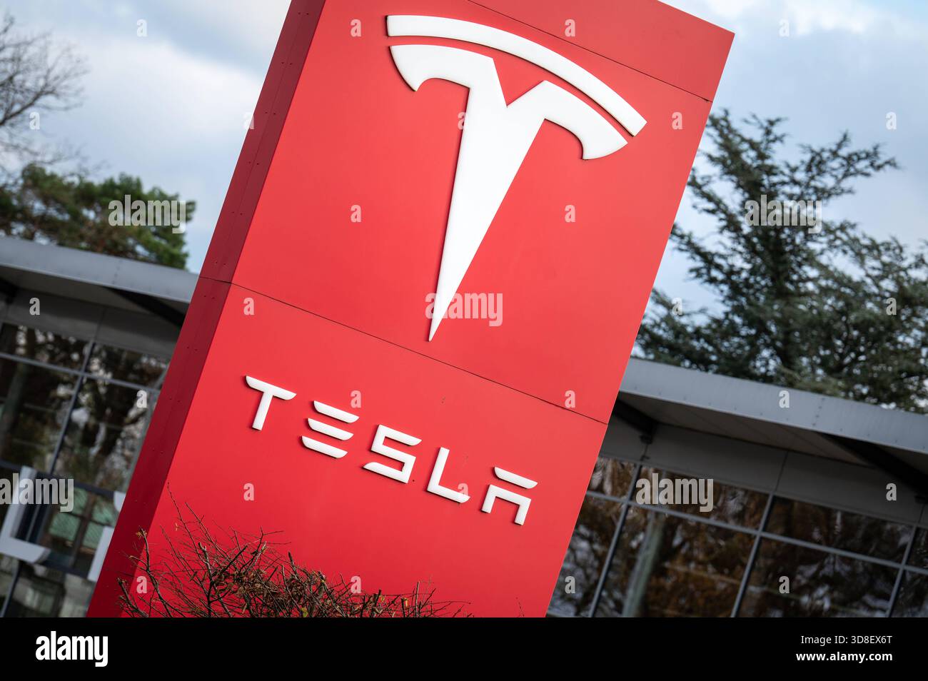 Tesla Oldenburg, Deutschland, 30.11.2025: Tesla-Logo vor einem Autohaus. *** Tesla Oldenburg, Germania, 30 11 2025 logo Tesla di fronte a concessionari di auto Foto Stock