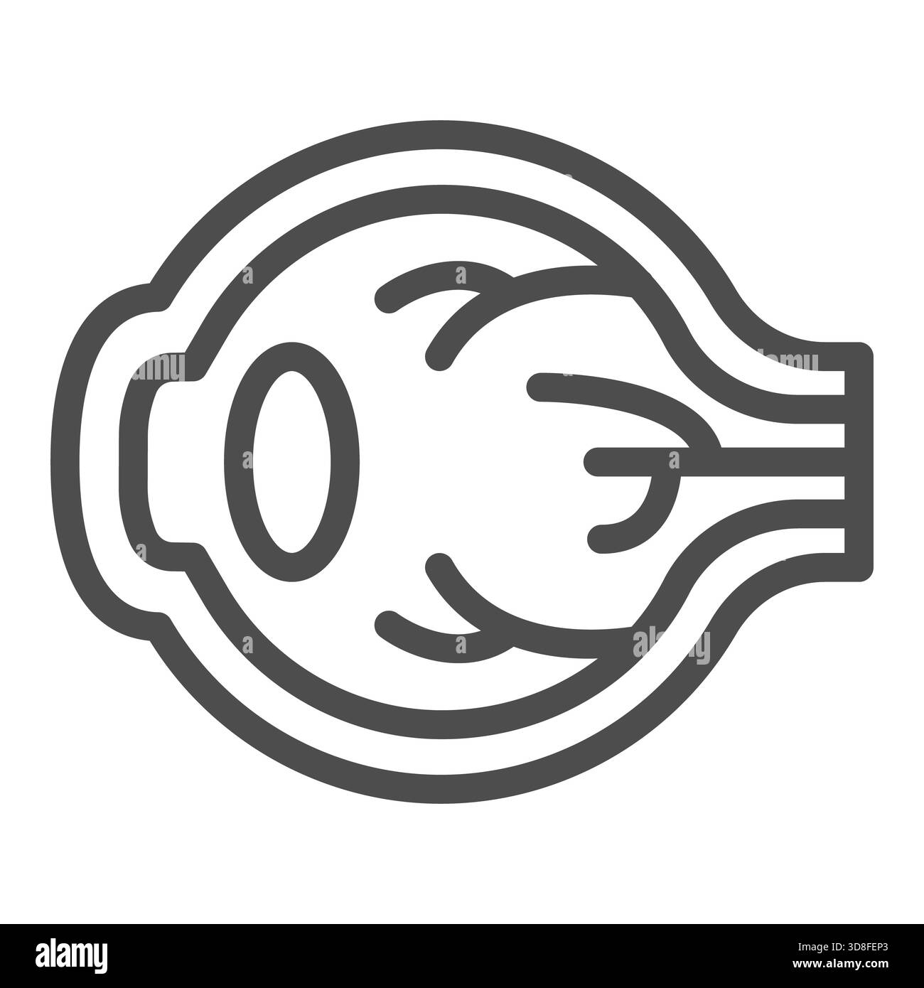 Icona della linea della sfera dell'occhio, concetto di trattamento visivo. Grafica vettoriale. Organo umano della vista, segno oftalmologia su sfondo bianco, icona di stile contorno per m Foto Stock