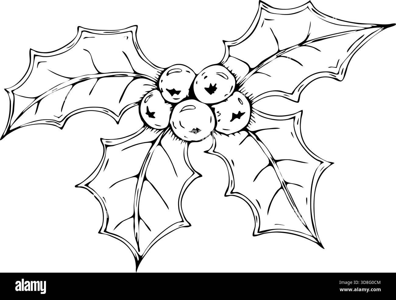 Illustrazione disegnata a mano di Holly Berry Christmas. Elemento per la progettazione. Illustrazione vettoriale. Elementi di design per biglietti d'auguri o inviti. Nero Illustrazione Vettoriale