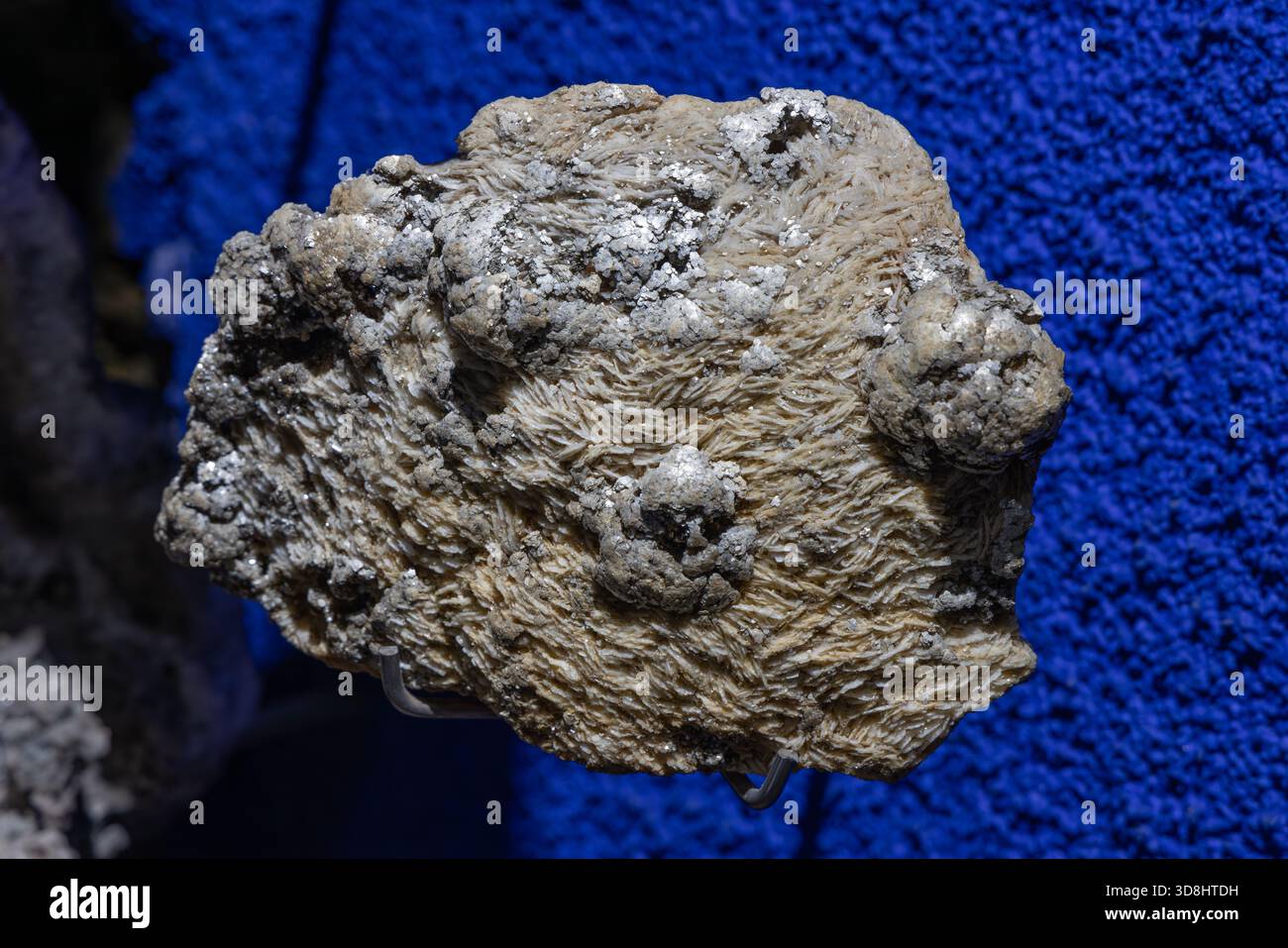 Campione minerale di gesso con spatola satinata con texture a strati fibrosi, superficie cristallina beige fotografata da vicino Foto Stock