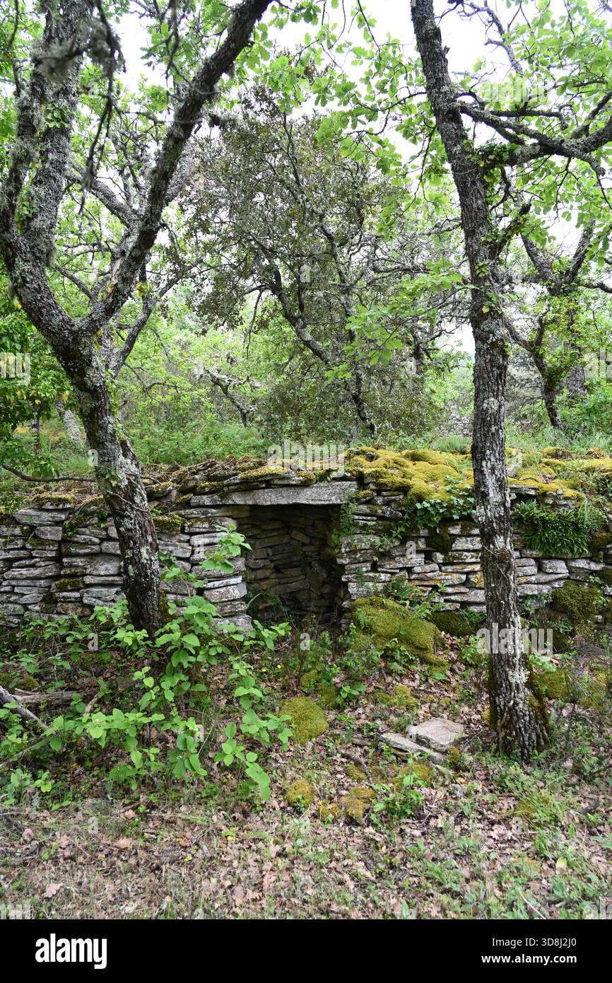 Ingresso al Dry Stone Hut, Stone Cabanon o Gallic Hut nella foresta vicino a Bonnieux Luberon Provence Francia Foto Stock