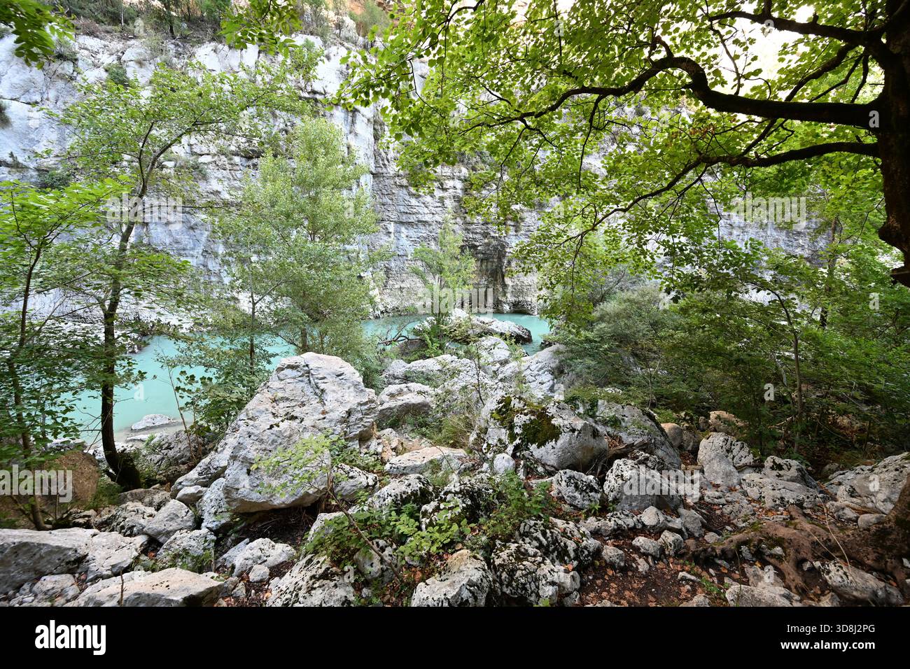 Alberi, vegetazione e rocce cadute nella base o in fondo alla Gola di Verdon lungo il sentiero Sentier de l'Imbut che segue il fiume Verdon Provenza Francia Foto Stock