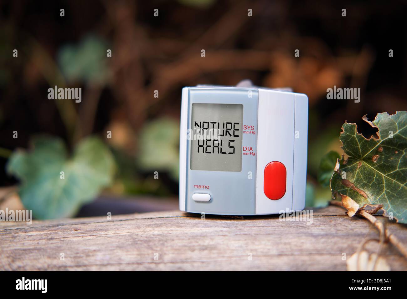 Il misuratore della pressione sanguigna mostra il messaggio DELLA NATURA GUARISCE sullo schermo, simboleggiando rimedi naturali e il benessere all'aperto Foto Stock