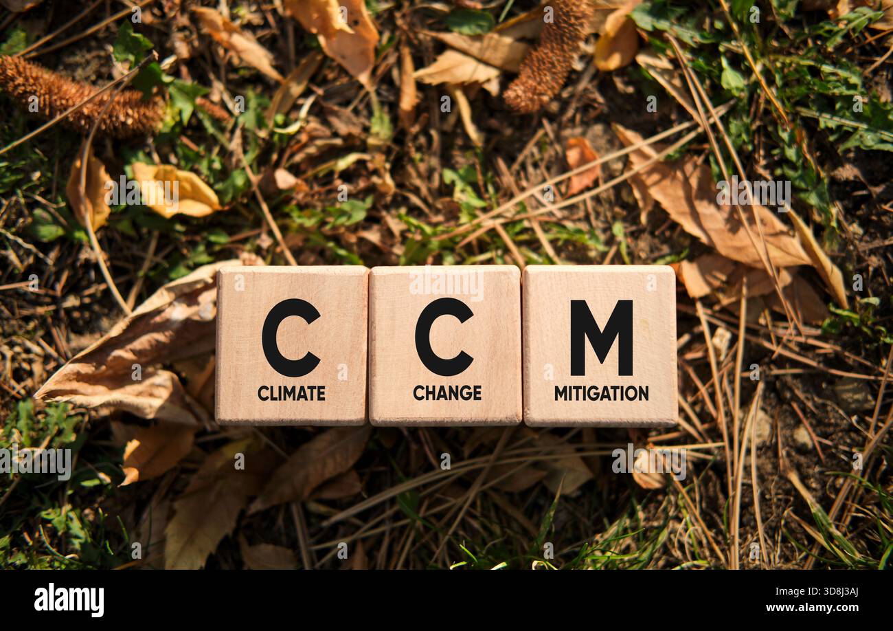 Lettere di mitigazione del cambiamento climatico (CCM) che descrivono un importante concetto ambientale utilizzando blocchi di legno su terreno naturale Foto Stock