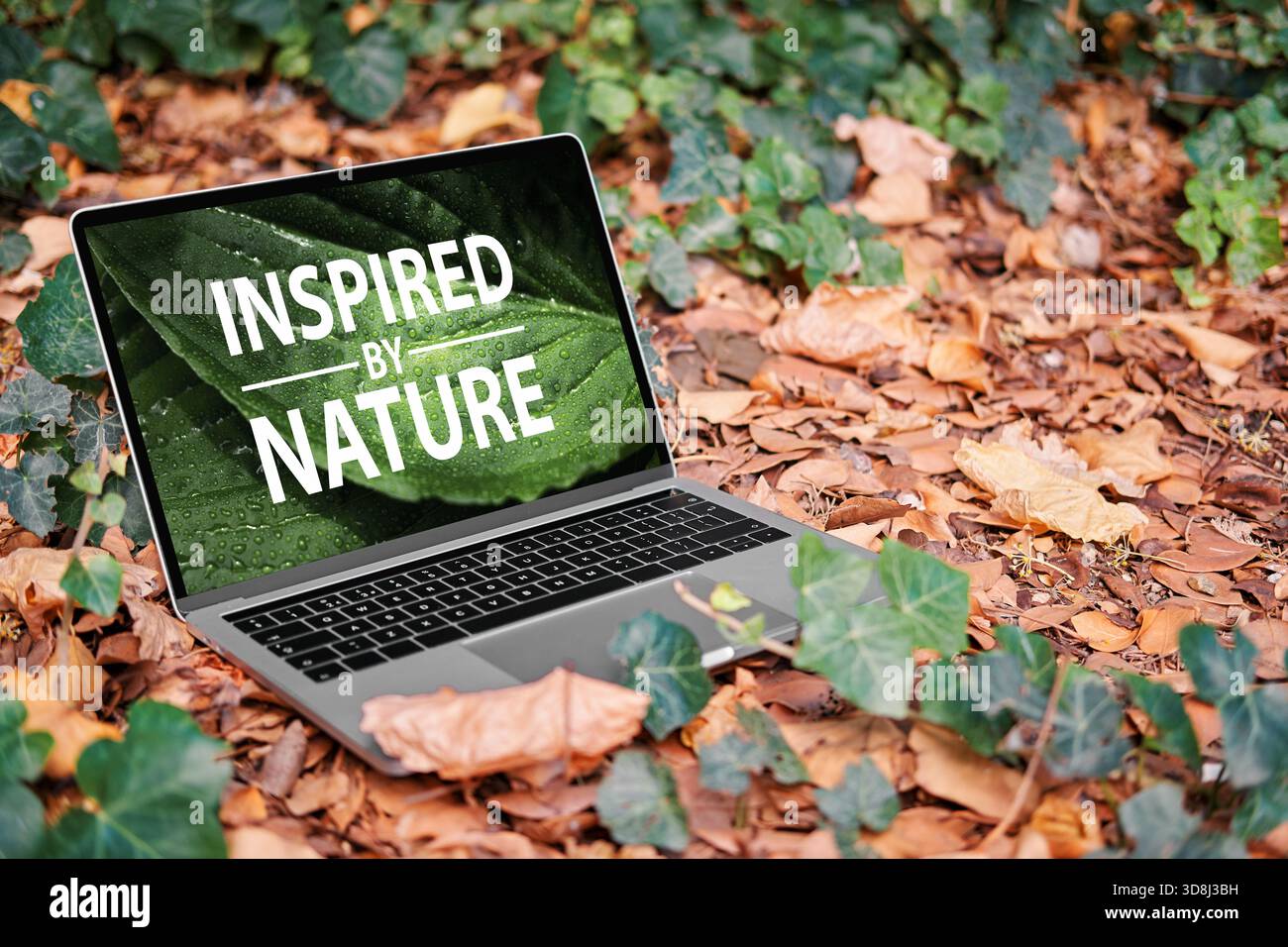Laptop che visualizza sullo schermo UN messaggio ISPIRATO ALLA NATURA, collocato su un terreno ricoperto di foglie autunnali in una foresta Foto Stock
