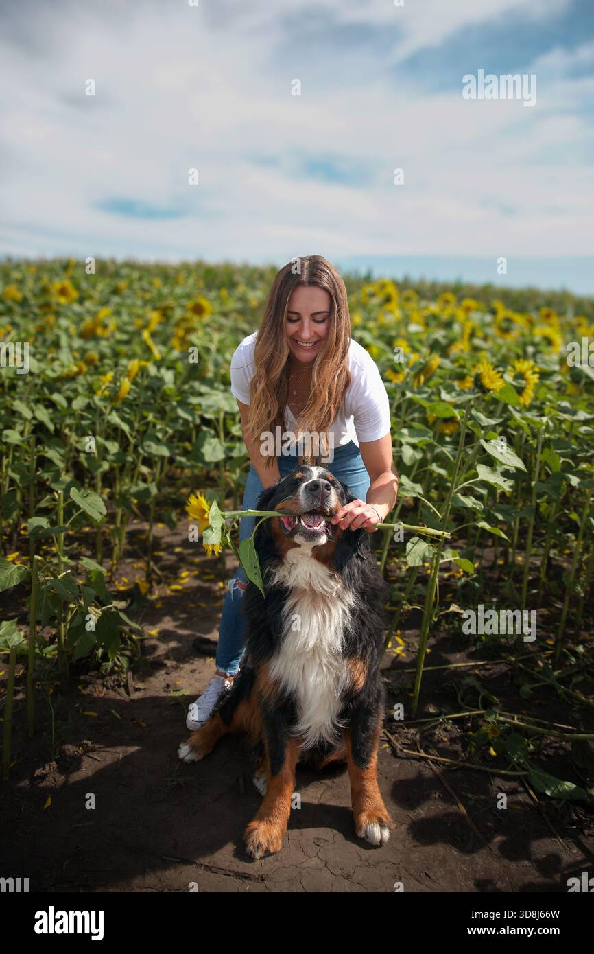 La donna ama divertirsi con il cane in un campo di girasole soleggiato Foto Stock