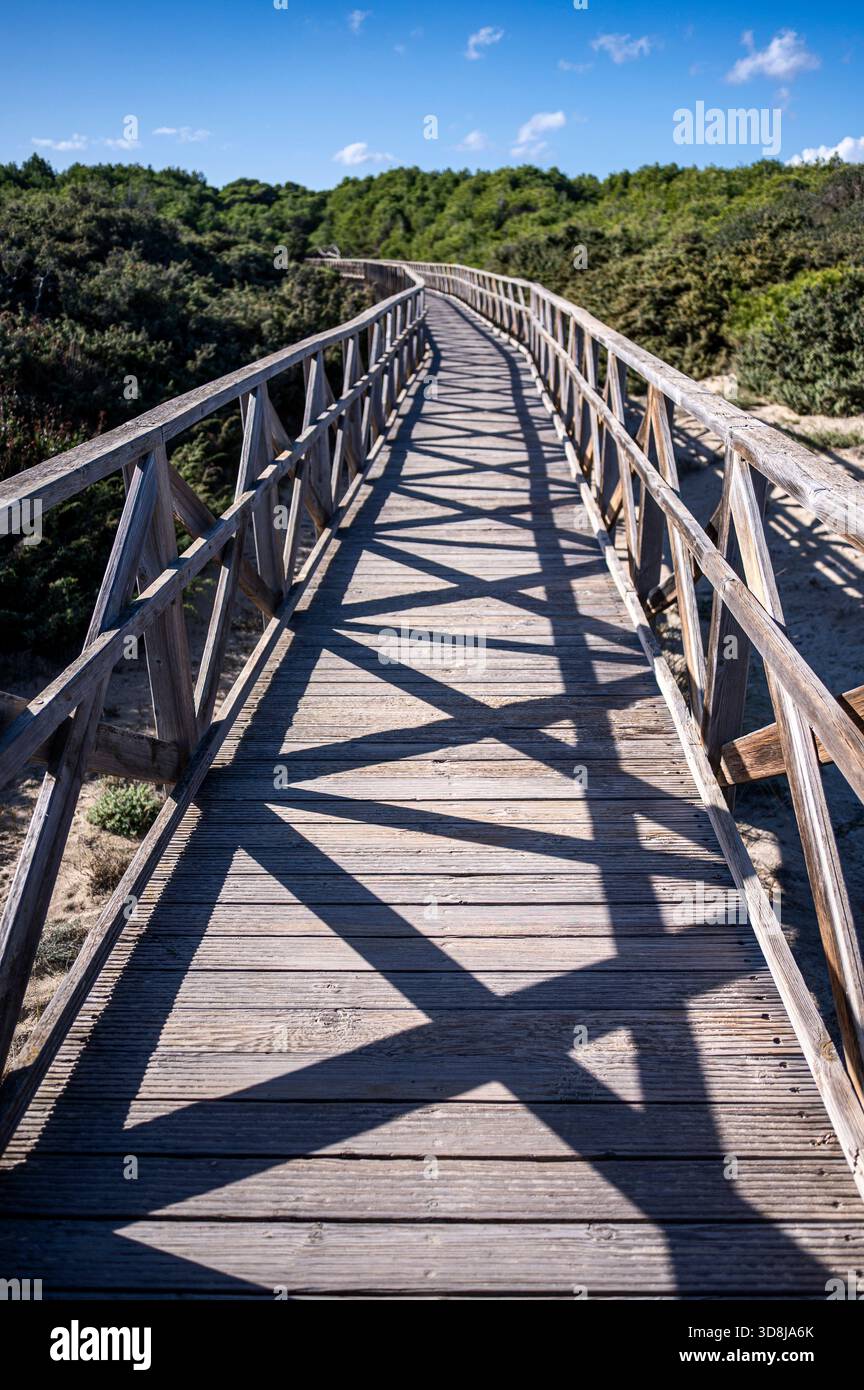 Passerella in legno alla luce del sole con ombre Foto Stock