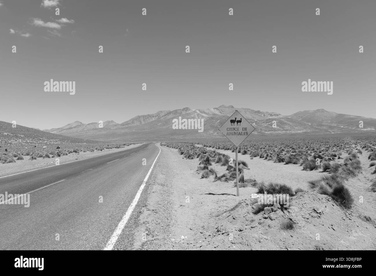 Strada bianca e nera del deserto con un cartello di passaggio degli animali contro montagne lontane Foto Stock