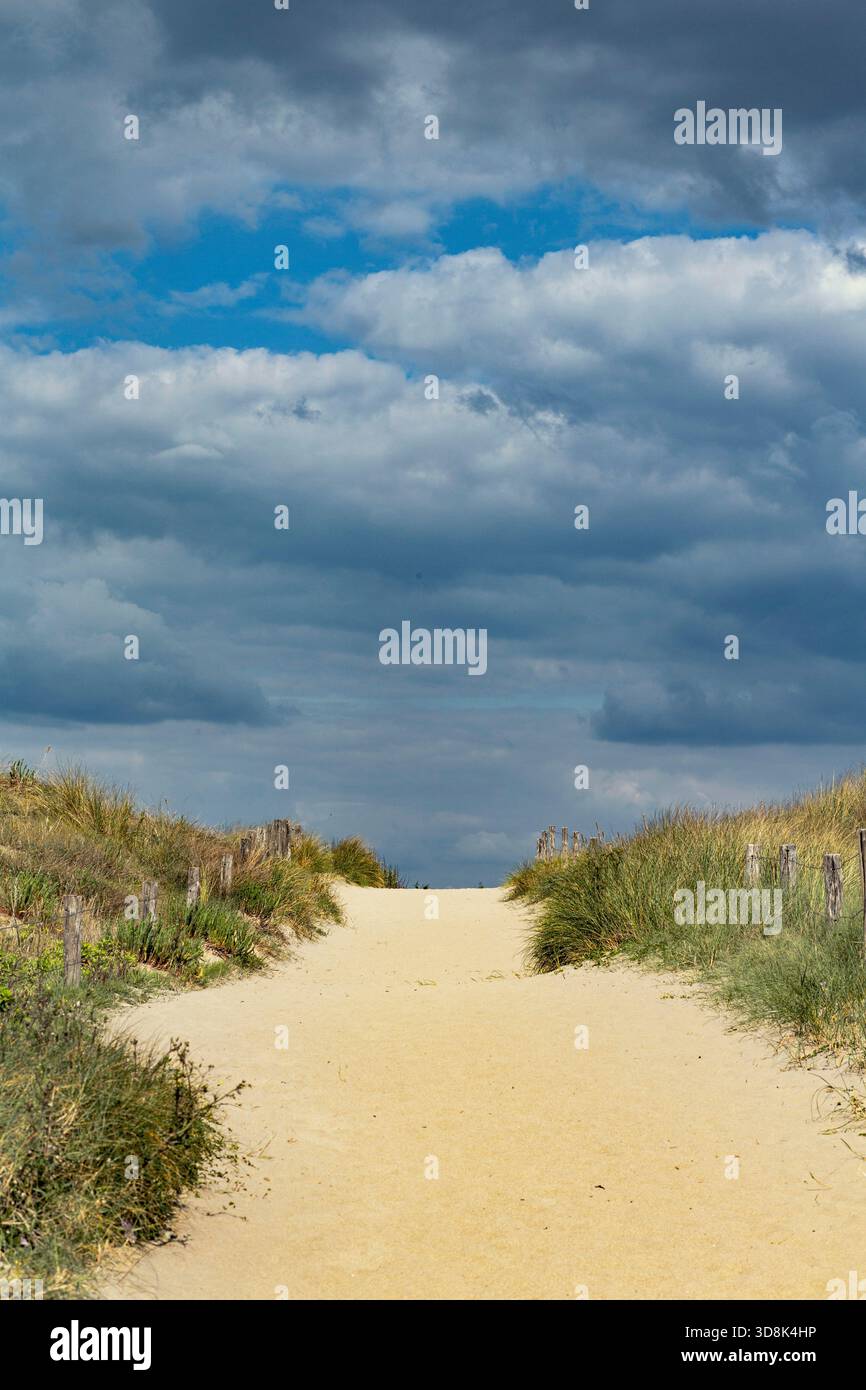 Francia, ile de Noirùoutier, Barbatre, accesso alla spiaggia dalle dune. Foto Stock