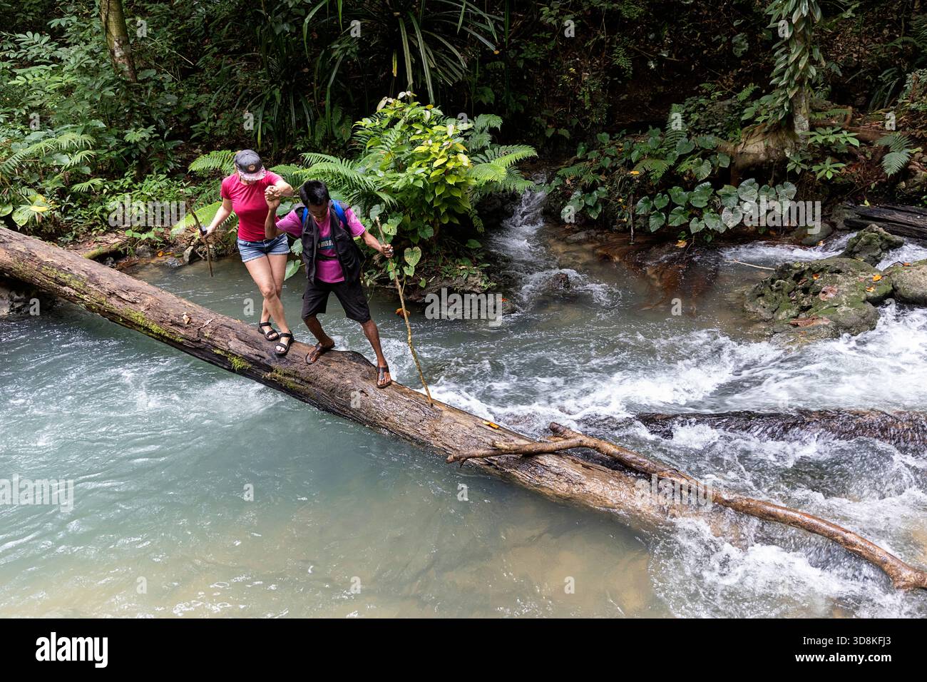 Escursione alle maestose cascate di Matayangu sull'isola di sumba in indonesia, sentiero nella foresta pluviale tropicale, guida turistica che attraversa un torrente, camminando su tronchi Foto Stock