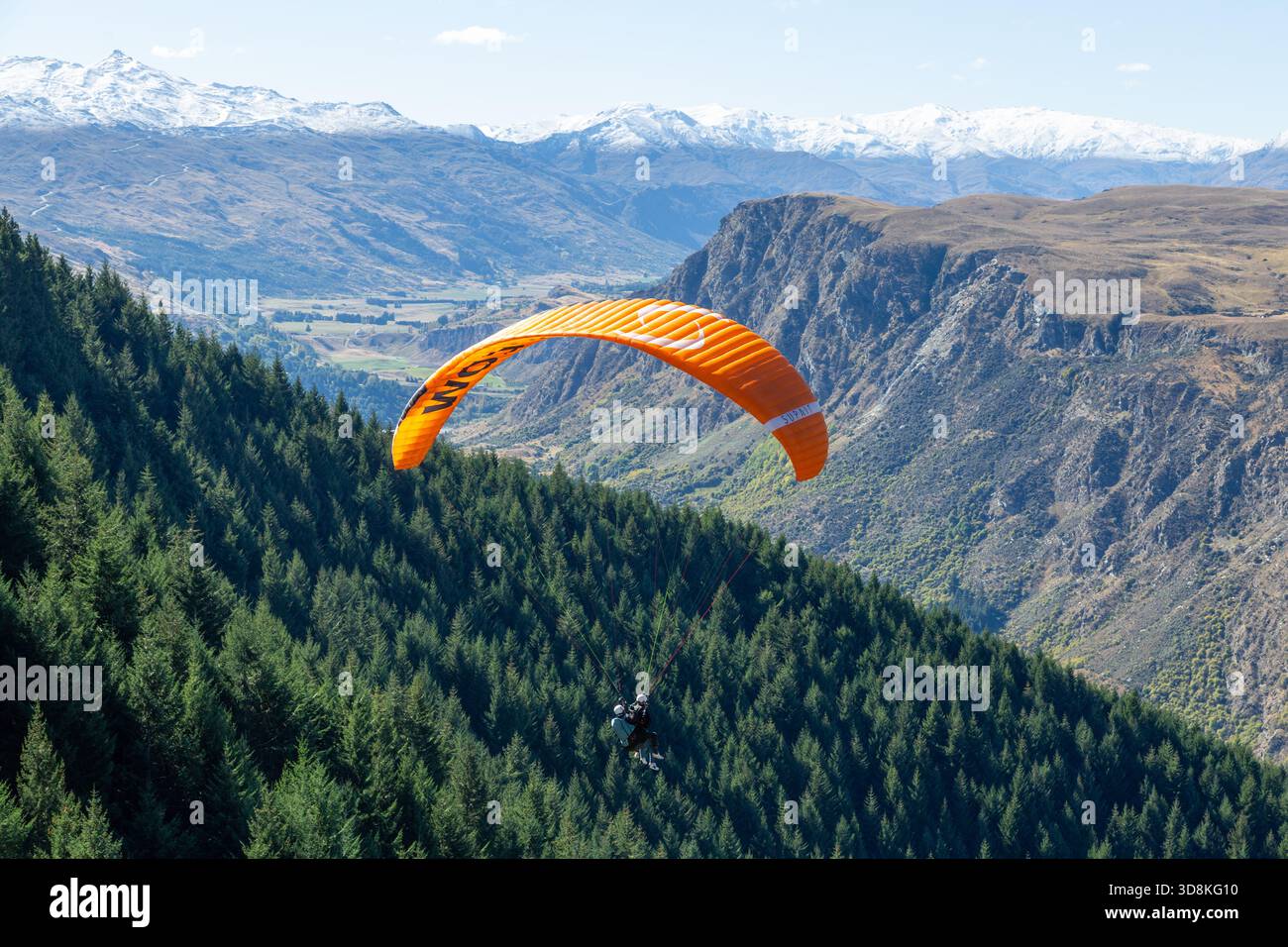 Parapendio dal Bob's Peak sul bosco, nuova Zelanda Foto Stock