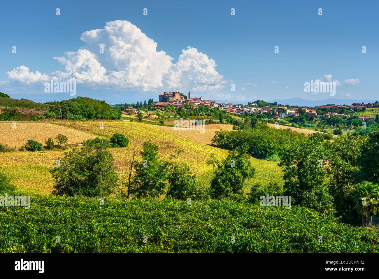 Veduta delle dolci colline del Monferrato, dei vigneti e dei campi coltivati, Piemonte, Italia. Il paese di Montemagno Monferrato sullo sfondo, sormontato Foto Stock