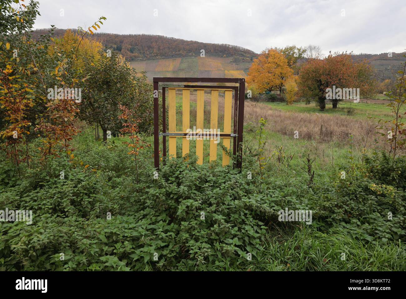 La porta in legno di un giardino è ricoperta di piante. Foto Stock