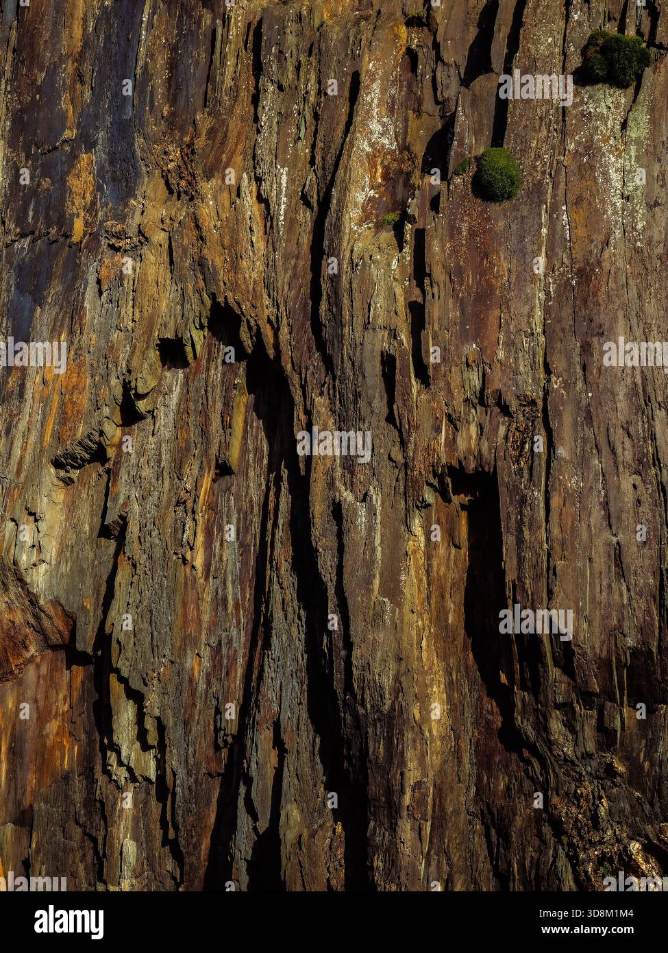 I bordi frastagliati e le superfici fratturate creano un motivo intrigante in questa formazione rocciosa. Un chiaro ma bellissimo esempio di erosione naturale. Foto Stock