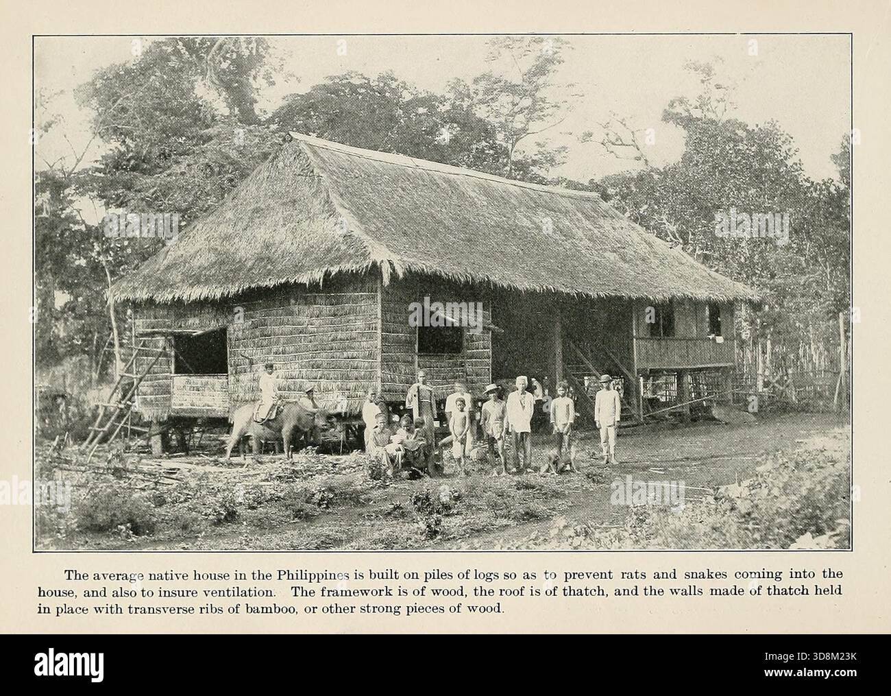 La casa madre media nelle Filippine è costruita su mucchi di tronchi in modo da impedire che ratti e serpenti entrino in casa, e anche per assicurare la ventilazione. La struttura è di legno, il tetto è di paglia, e le pareti di paglia tenute in posizione con nervature trasversali di bambù, o altri forti pezzi di legno. Foto d'archivio di Fighting in the Philippines; autentiche fotografie originali, di Frank Tennyson Neely, 1899. Foto Stock