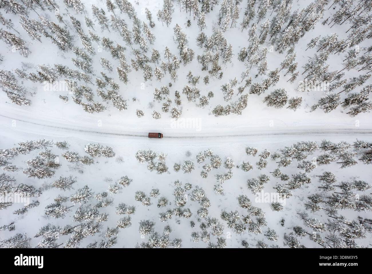 Vista aerea su auto/furgone che guida su strade innevate attraverso la taiga in inverno, Parco Nazionale di Riisitunturi, Lapponia, Posio, Koillismaa, Finlandia Foto Stock