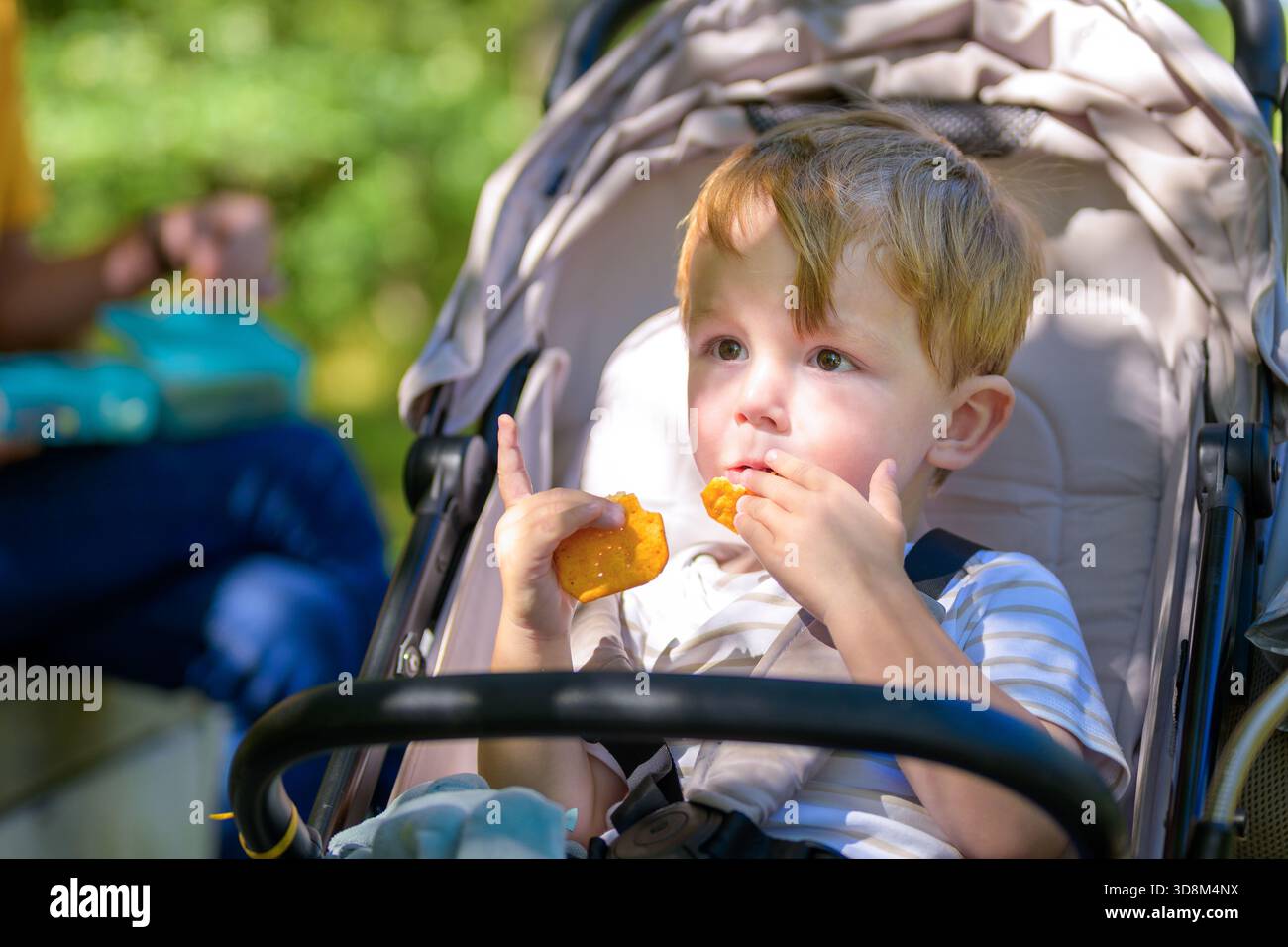Un bambino carino seduto in un passeggino a mangiare uno spuntino in una giornata di sole all'aperto, godendosi un rilassante momento di picnic sotto la luce naturale. Foto Stock