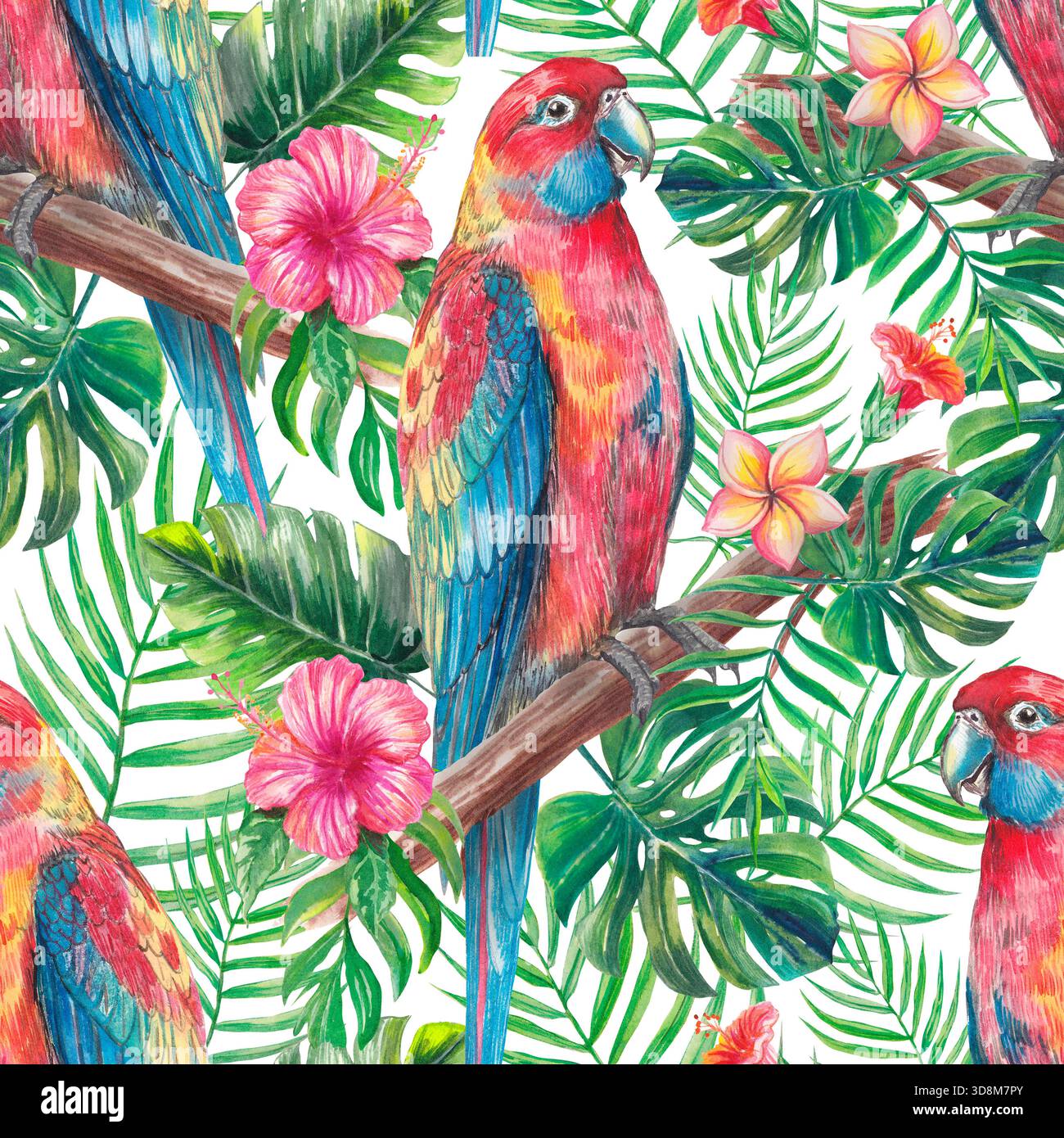 Contorno tropicale acquerello con pappagallo colorato, foglie verdi lussureggianti, fiori esotici e farfalle su sfondo nero. Illustrazione dipinta a mano per Foto Stock