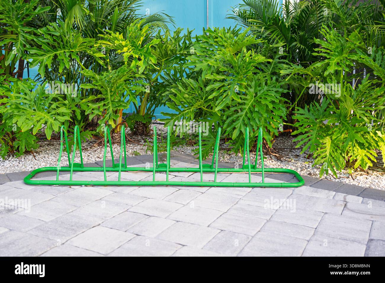 Un portabiciclette verde è pronto su lisce lastricatrici di pietra, incorniciate da una lussureggiante parete di vibrante vegetazione verde sullo sfondo. Foto Stock