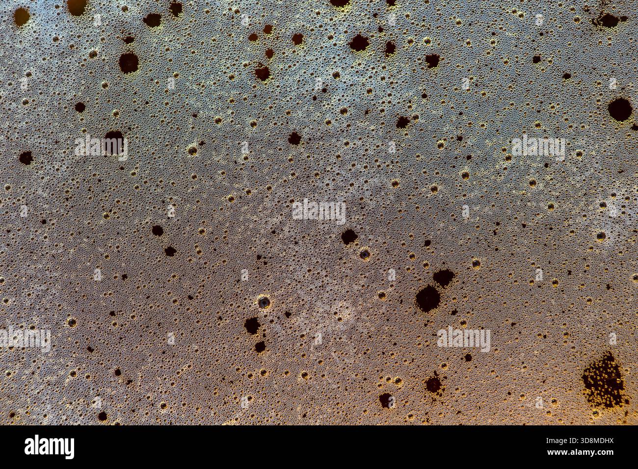 Sfondo della schiuma di birra, vista dall'alto, primo piano, macro. Consistenza della schiuma di birra Foto Stock
