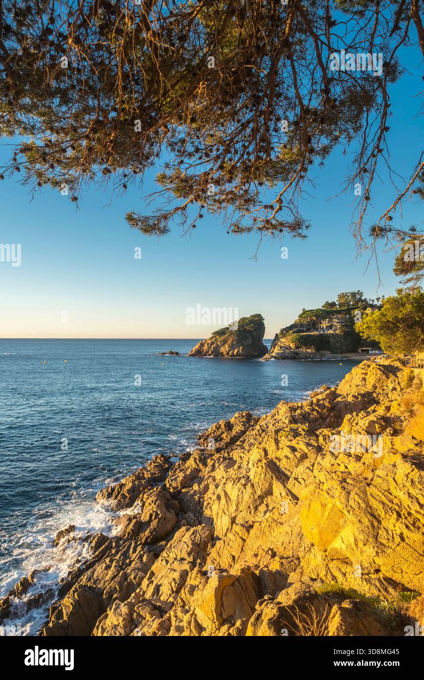 CAMI DE RONDA TRAIL CALA DE SANT FRANCESC BLANES COSTA BRAVA PROVINCIA DI GIRONA CATALOGNA SPAGNA Foto Stock