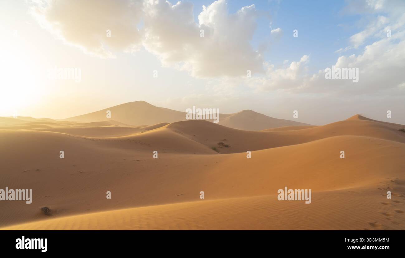 Vista del deserto del Sahara in Marocco, Africa. Il deserto del Sahara è il deserto caldo più grande del mondo. Foto Stock