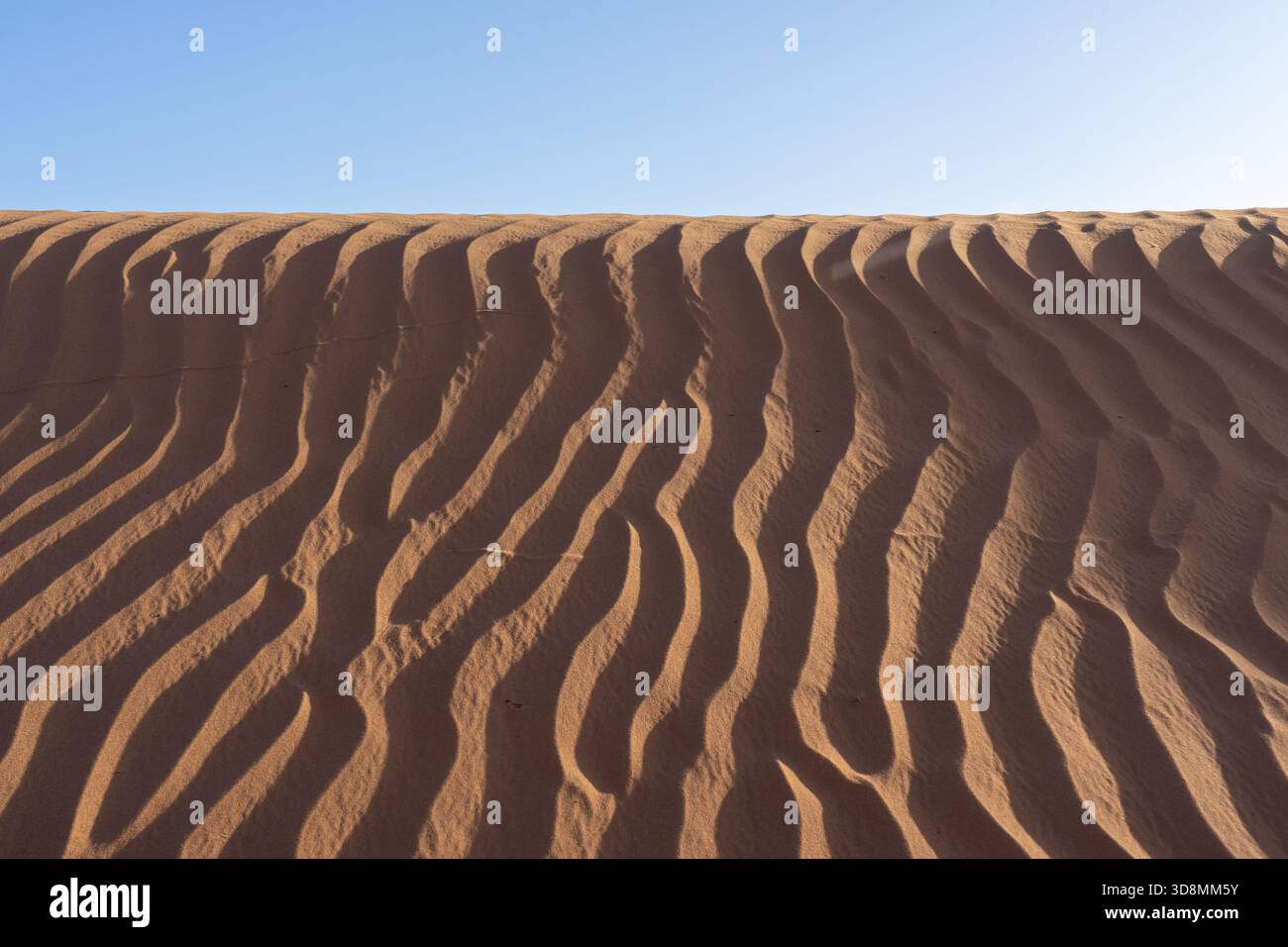 Sabbia ondulata di dune di sabbia del deserto al crepuscolo. Foto Stock