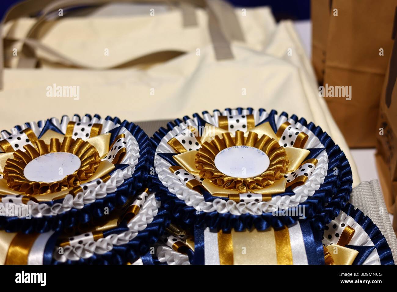 Eleganti nastri Blue e Gold Award Foto Stock