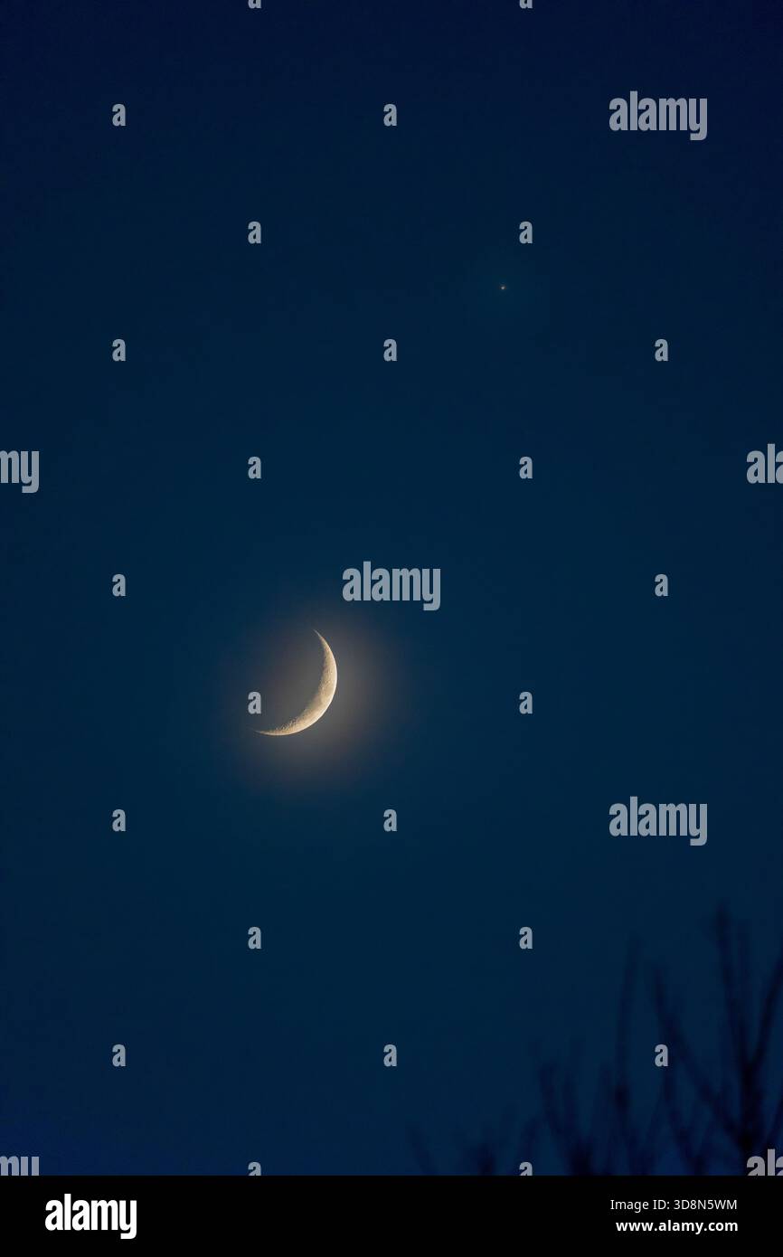 falce di luna Foto Stock
