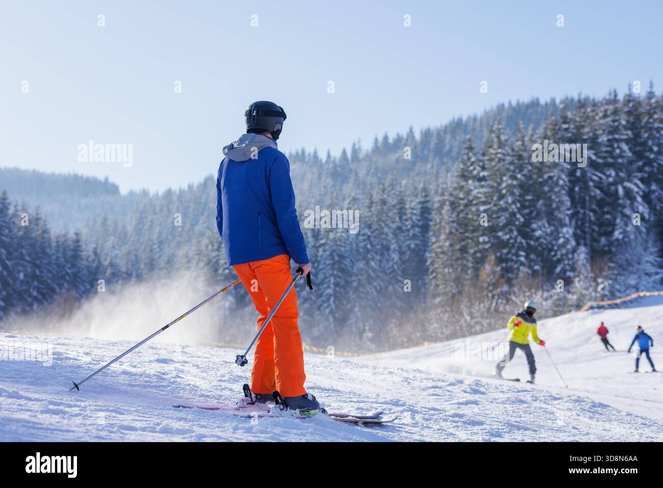 Sciatore ricreativo in un abbigliamento luminoso con pali su una pista innevata ben curata di fronte al paesaggio forestale invernale Foto Stock