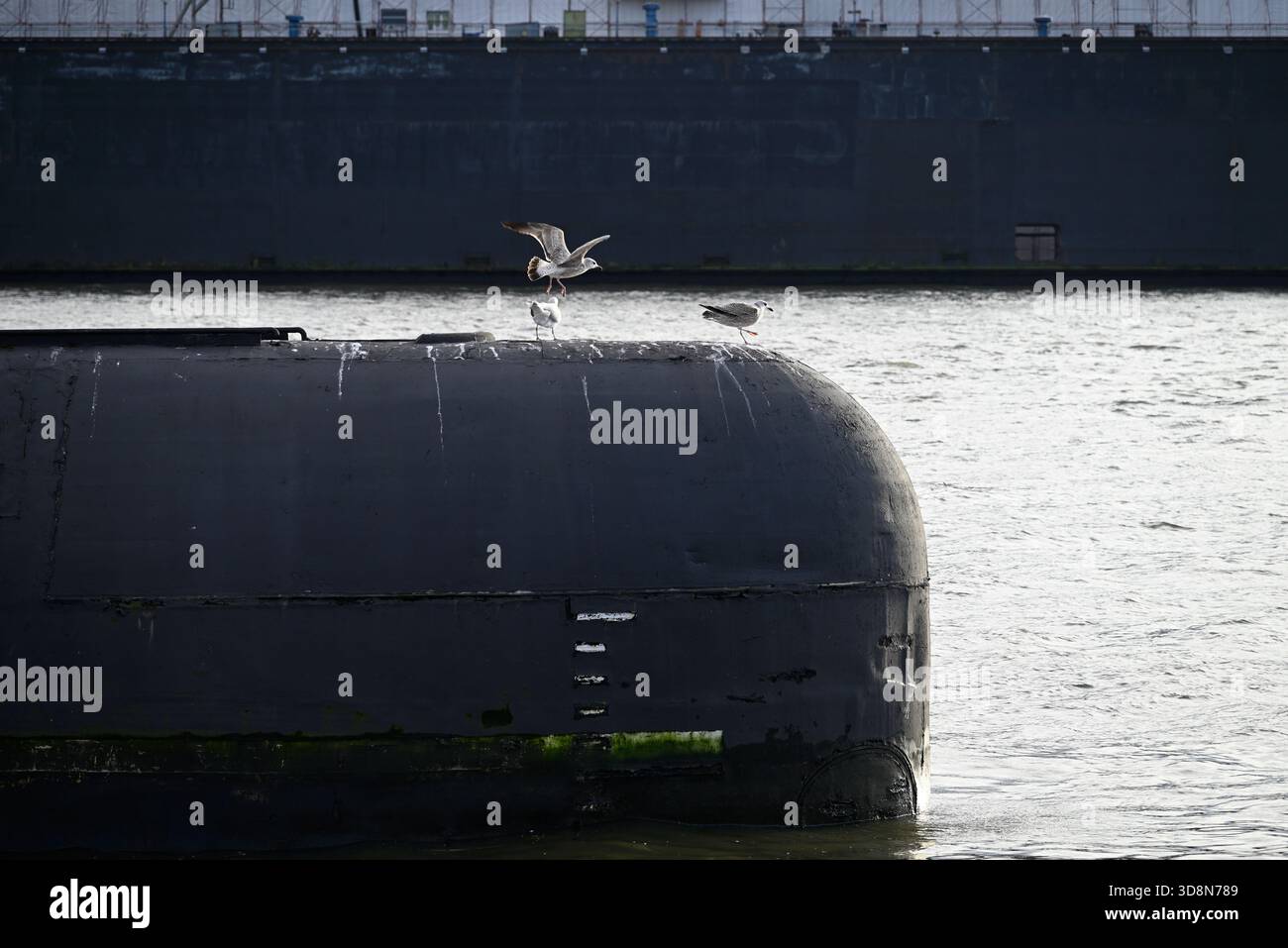 Sottomarino russo nel porto di Amburgo. Vecchio sottomarino russo con gabbiani al porto di Amburgo. Landungsbrücken. Foto Stock