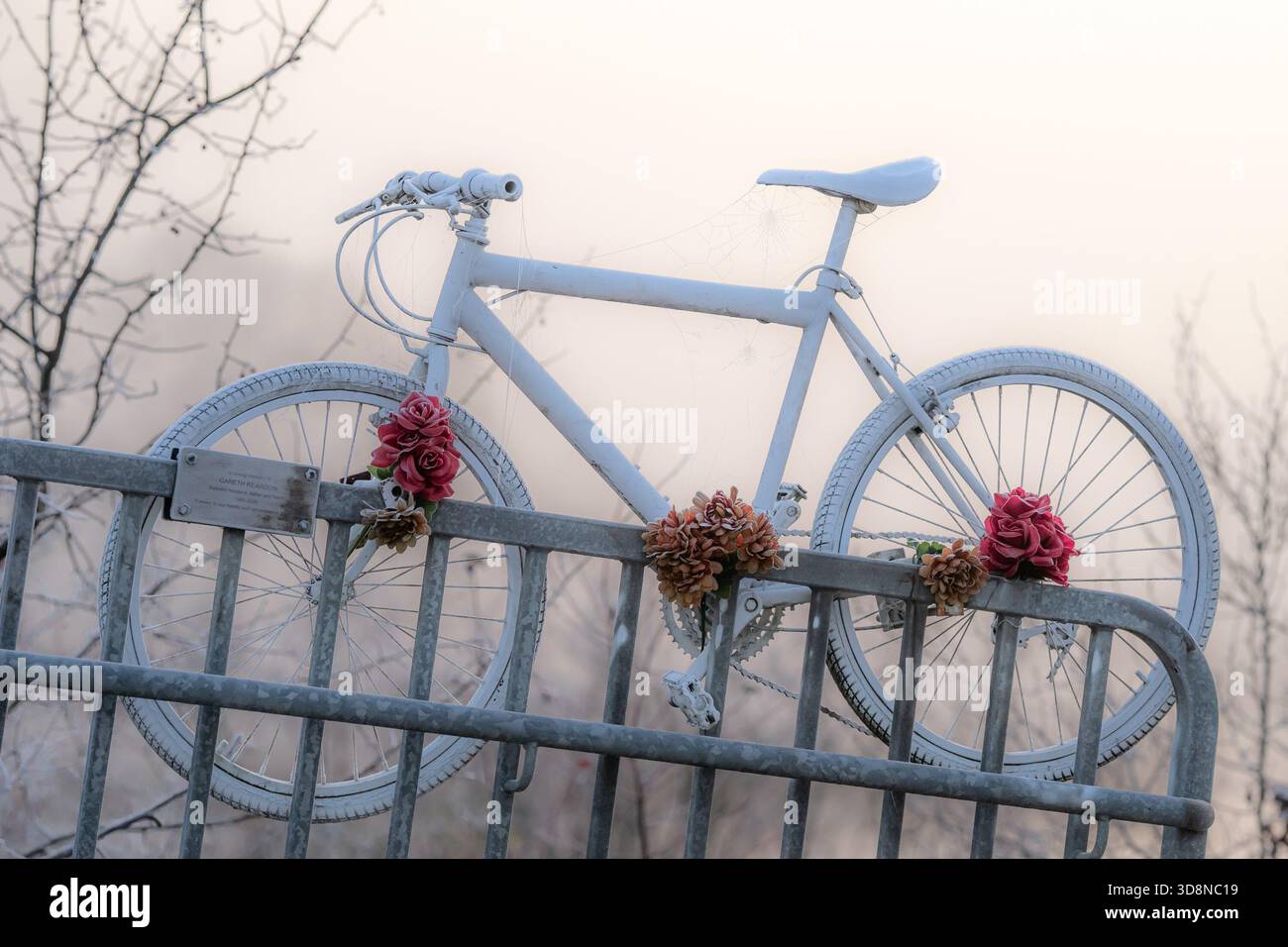 Memoriale degli incidenti in bicicletta, in memoria di Gareth Reardon, Pitt Meadows, BC, Canada Foto Stock