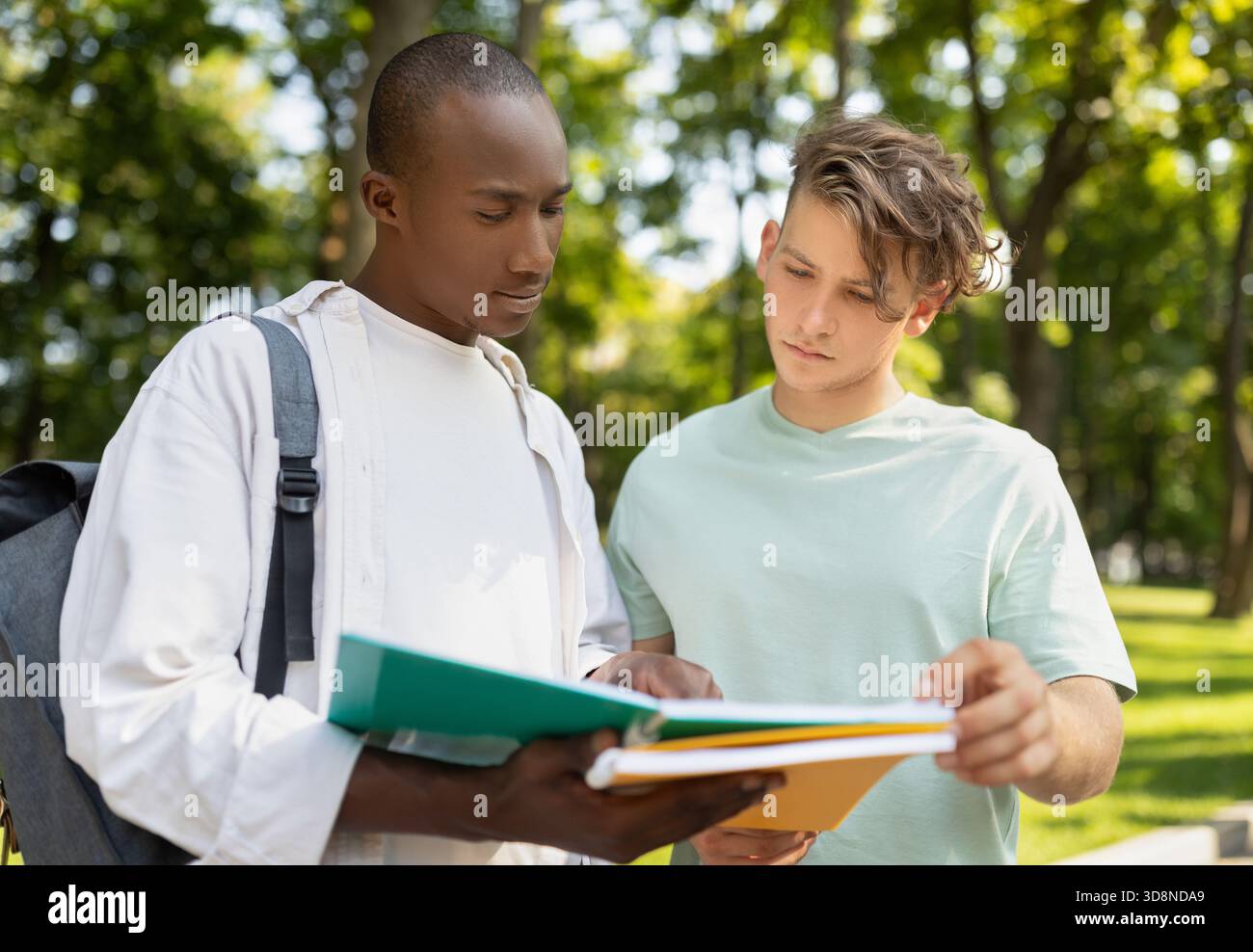 Due studenti che studiano insieme all'aperto in un Sunny Park in un bel pomeriggio Foto Stock