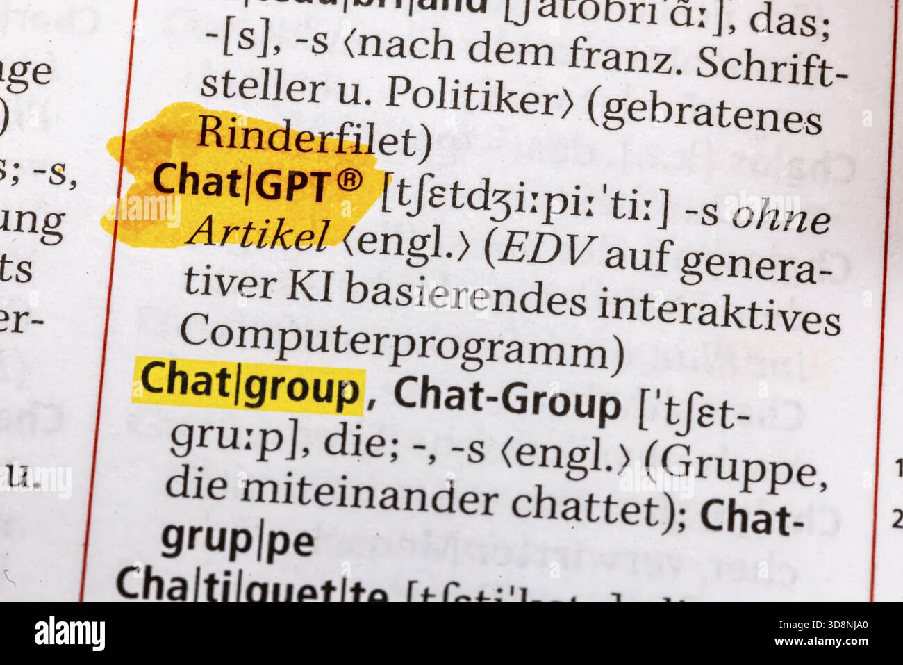 Gruppo di chat, gruppo di capitoli, Chat, Chat Line, Chat Room Caht GPT, Chatiquette. Condizioni del Duden. Lavoro standard di ortografia tedesca, 29a edizione. ger Foto Stock