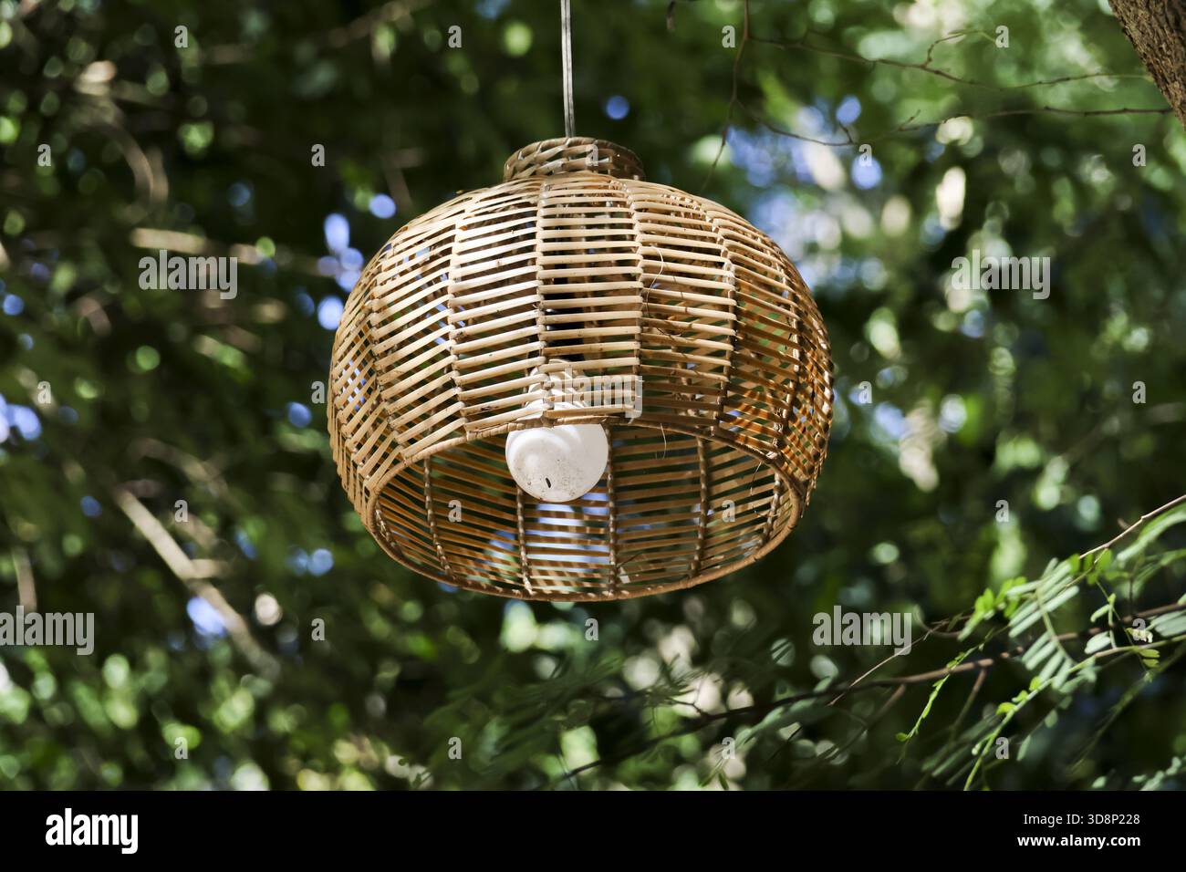 Lampada in rattan intrecciato naturale appesa all'esterno dall'albero. l'intima decorazione del giardino con lampadina fornisce uno stile bohémien per vivere all'aperto e tranquillo Foto Stock