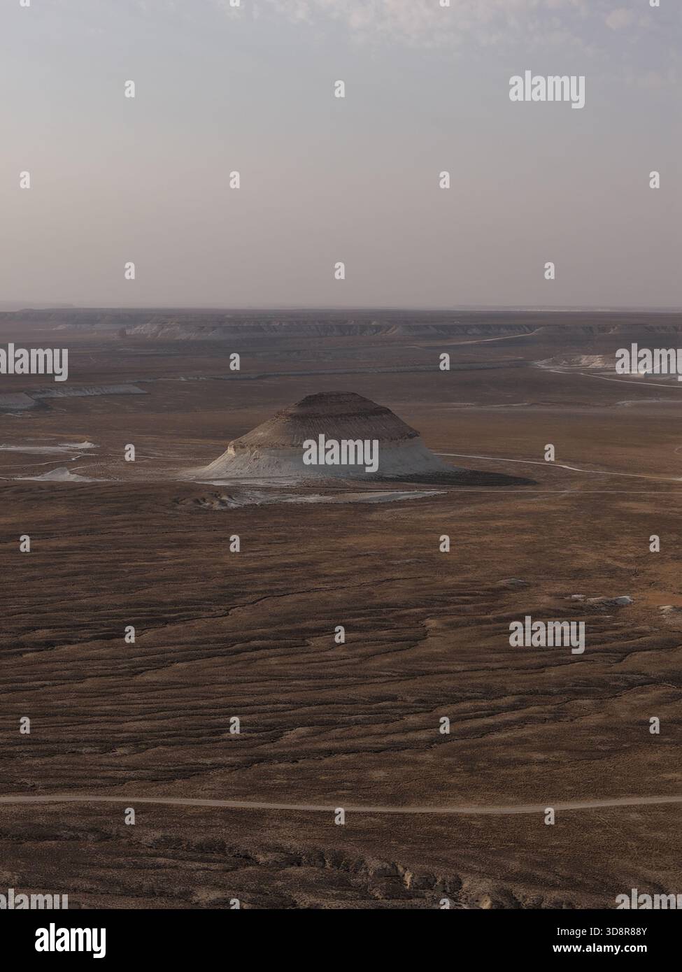 Arido altopiano desertico di Ustyurt con arenarie erose e una tortuosa strada sterrata che taglia le aride terre desertiche sotto il cielo nuvoloso, vasto terreno remoto Foto Stock