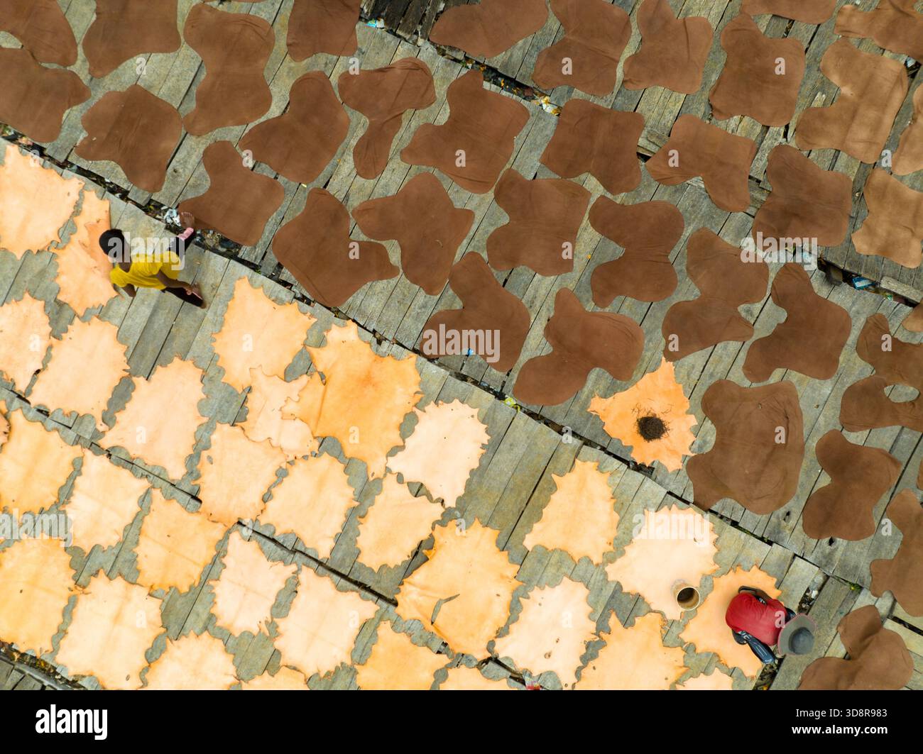 Vista aerea di pelli in pelle che si asciugano sotto il sole, creando un mosaico testurizzato di marroni e abbronzature, Dacca, Divisione di Dacca, Bangladesh. Foto Stock