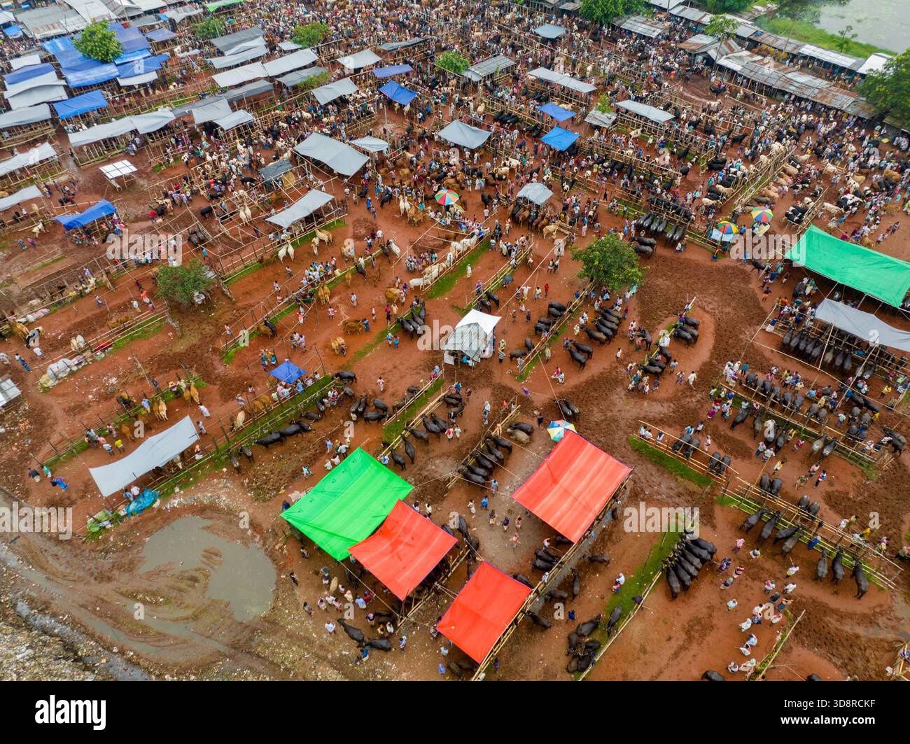 Vista aerea di un vivace mercato di animali brulicante di attività sotto tettoie improvvisate e il terreno fangoso marrone, Rajshahi, Rajshahi Division, Bangla Foto Stock