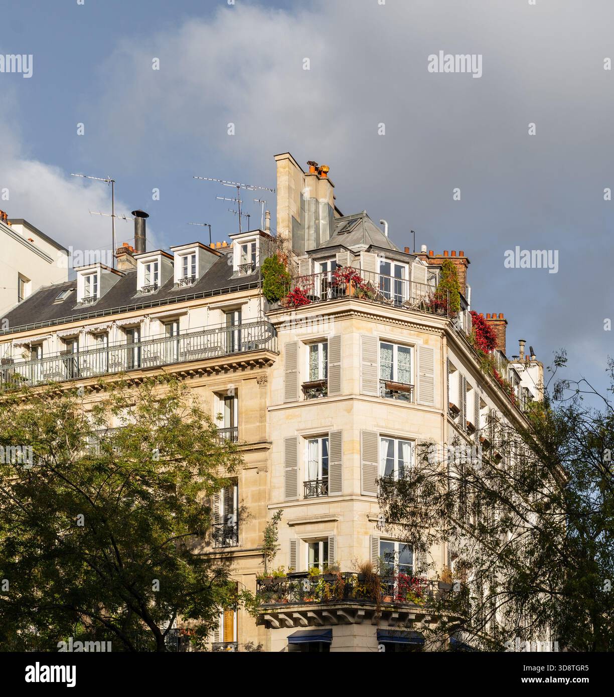 Tipico vecchio edificio parigino, Parigi, Francia Foto Stock