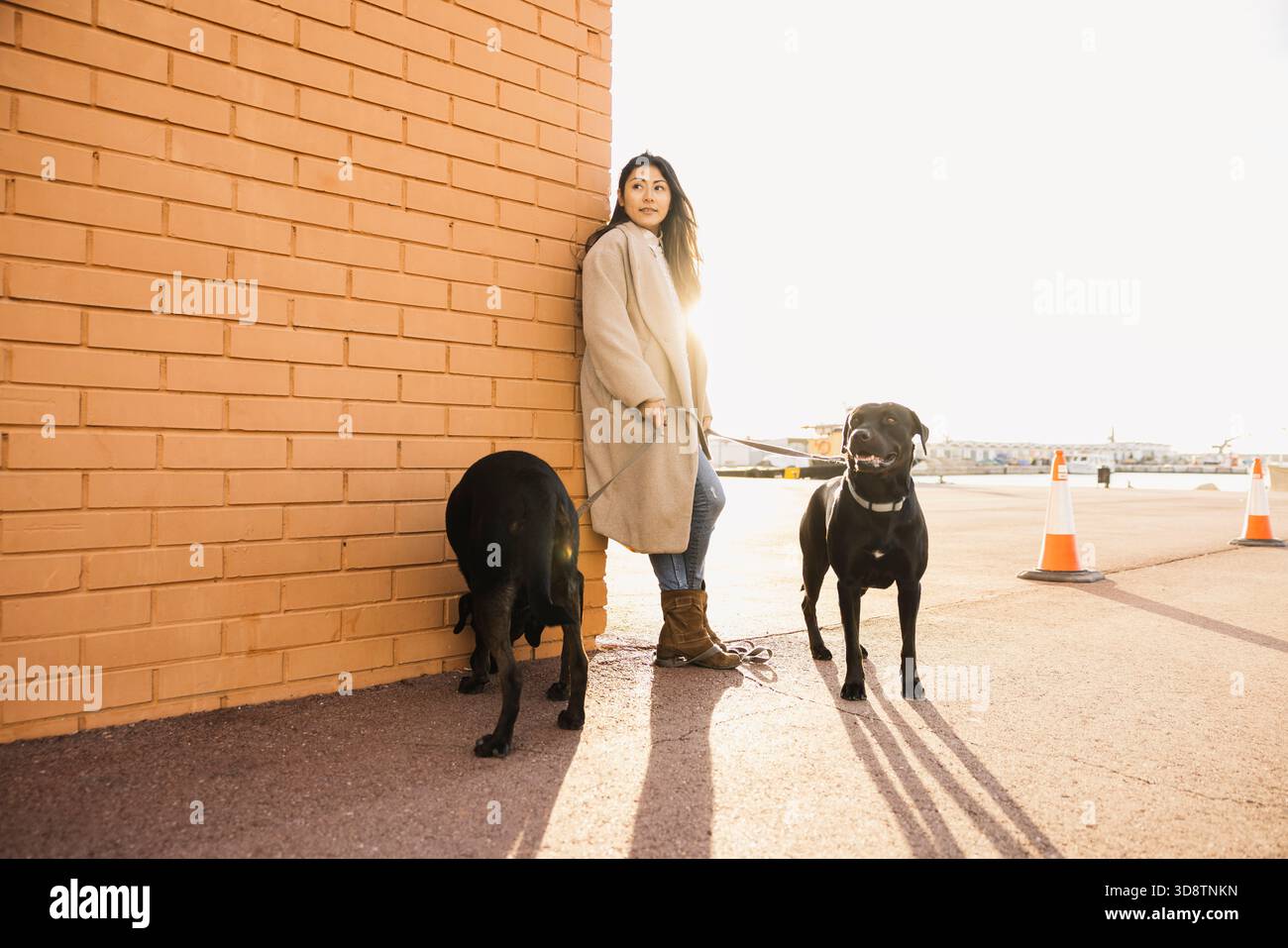 Donna e i suoi due leali cani neri in piedi godendosi l'aria aperta in città Foto Stock