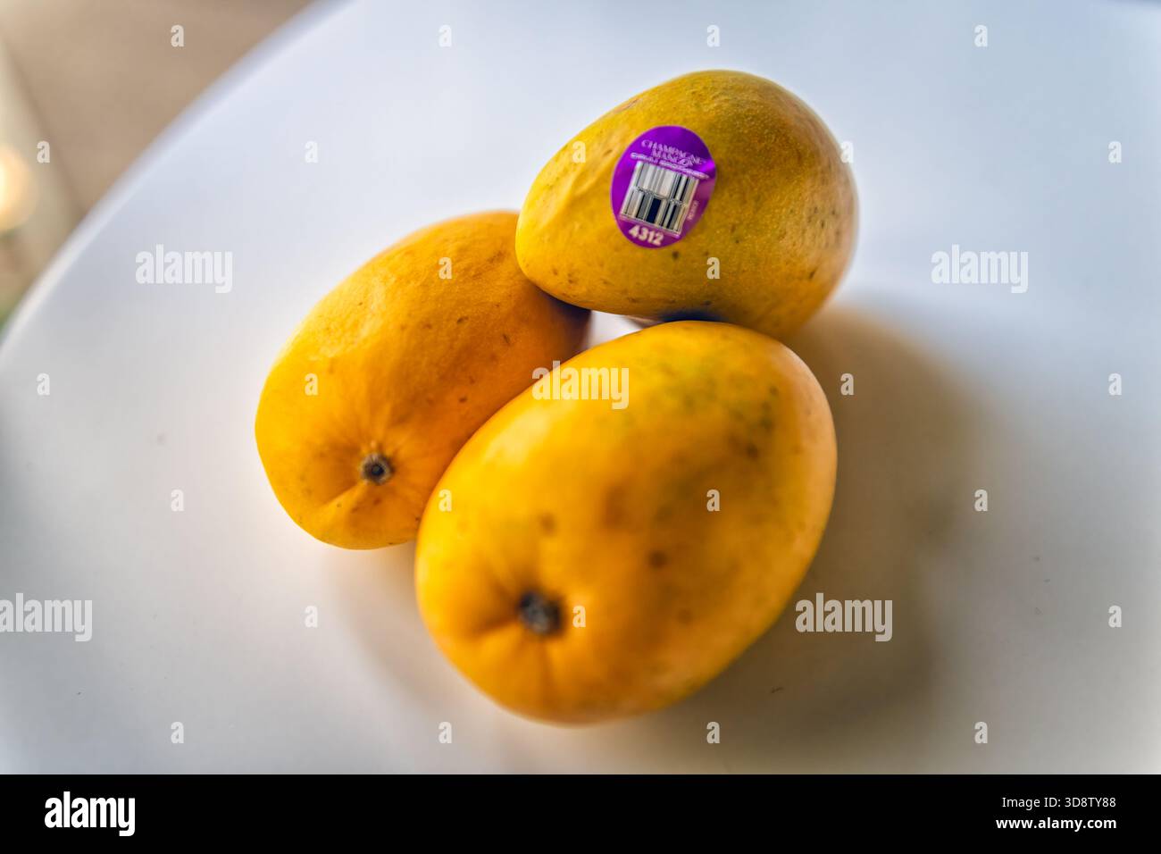 Roseland, USA - 27 aprile 2025: Champagne mango, ataulfo adolfo giallo dorato frutta intera matura con etichetta adesiva prodotto dal Messico Foto Stock