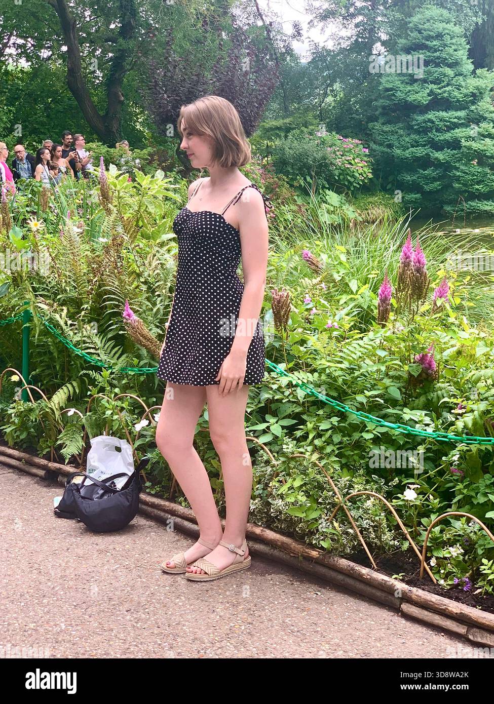 Ponte giapponese Claude Monet Garden Francia a Giverny, le piante della Normandia vedono le bambine graziosamente fuori dal giardino acquatico disegnato colorano le piante celebri Foto Stock