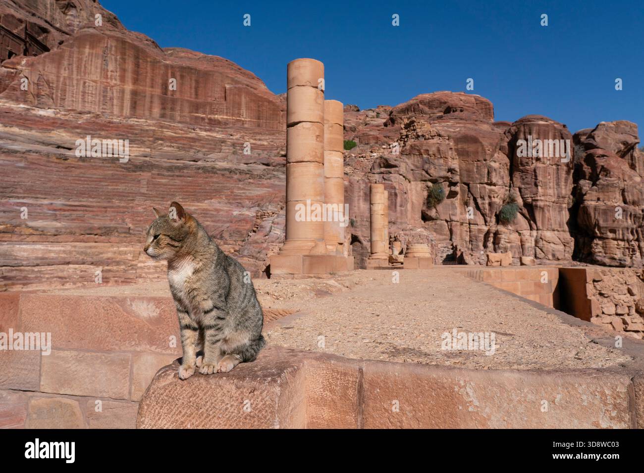 Il Teatro, scolpito sul lato della montagna, Petra, Giordania. Foto Stock