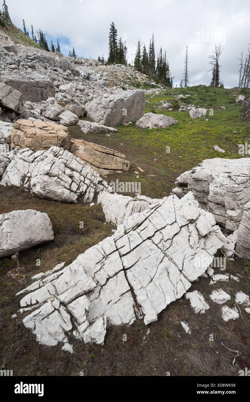 Rocks and Meadow, Bob Marshall Wilderness, Montana, Stati Uniti. Foto Stock