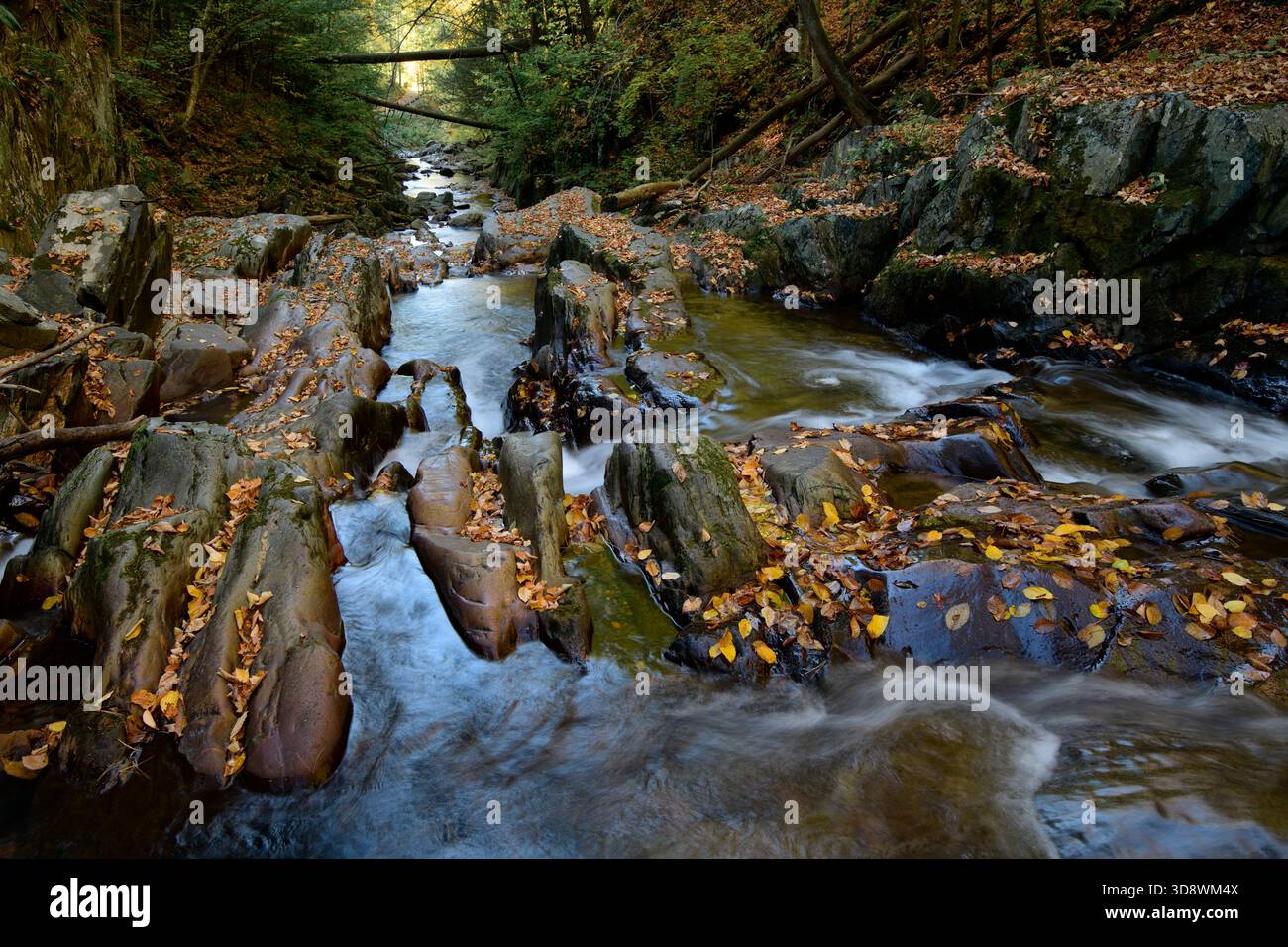 USA, New England, Massachusetts, Berkshires, Mohawk Trail, Charlemont, Mill Creek Bridge, Creek Foto Stock