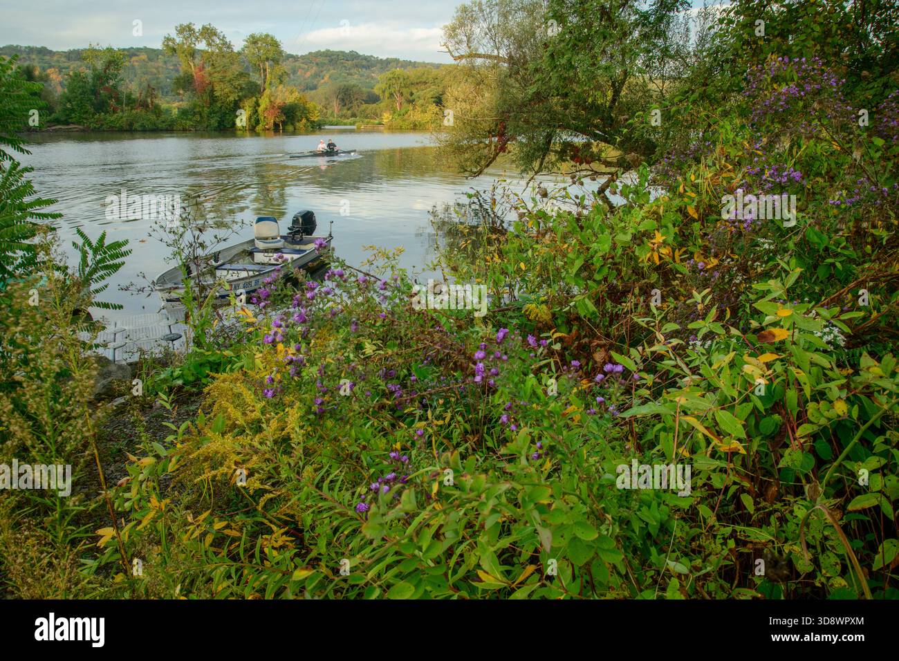 USA, New York, Upstate, Ithaca, Finger Lakes, Cayuga Lake Foto Stock