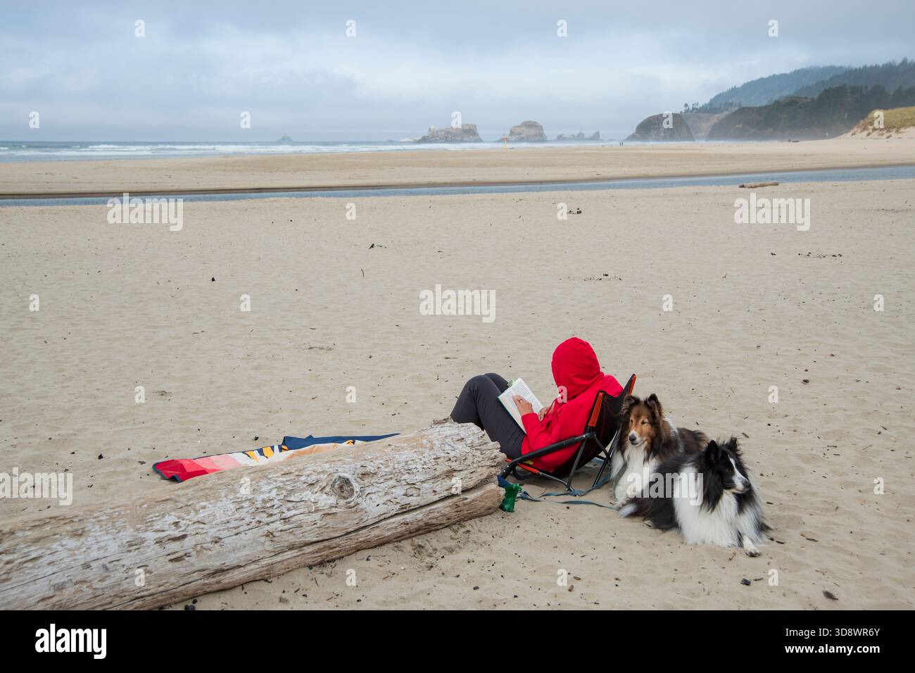 USA, Oregon, Clatsop County, Cannon Beach, donna con cani che legge un libro Foto Stock