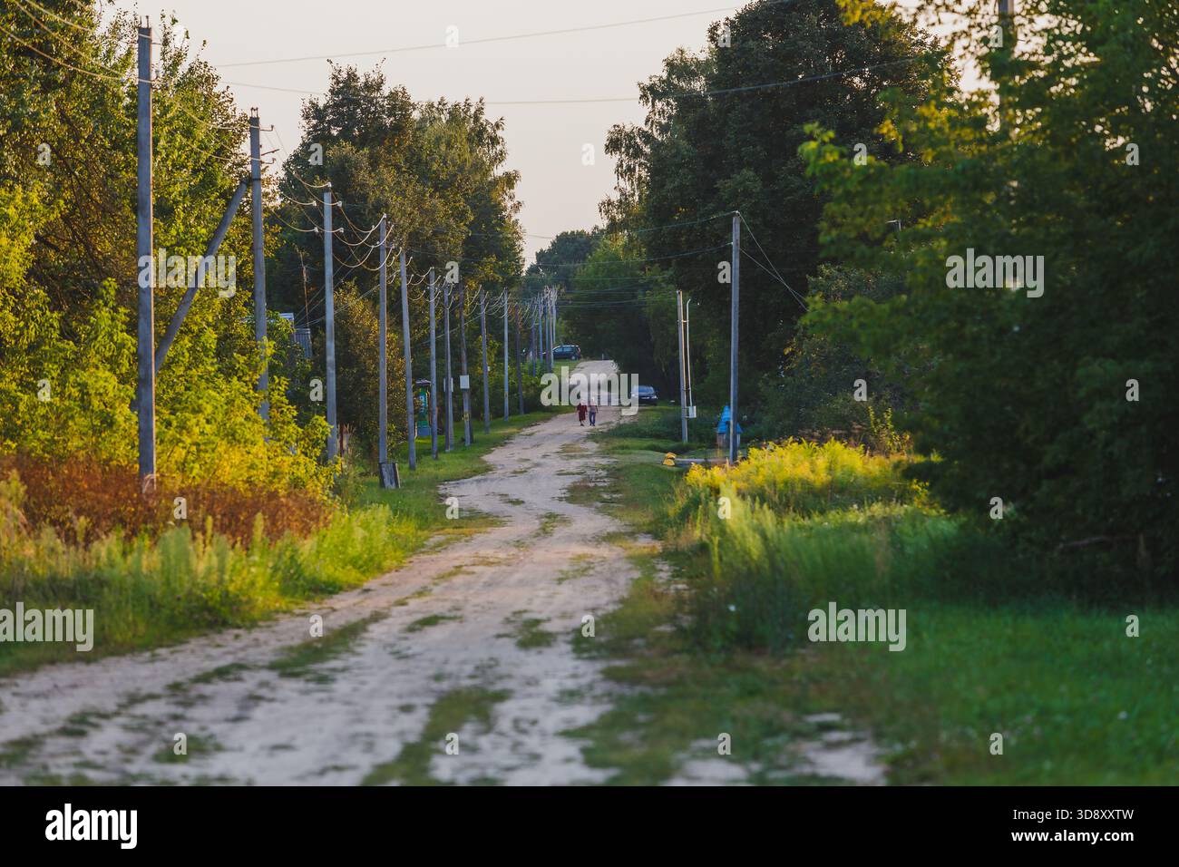 La foto cattura una tranquilla strada rurale costeggiata da case di villaggio e vegetazione lussureggiante. La luce soffusa del sole della sera illumina la strada, creando un'atmosfera Foto Stock