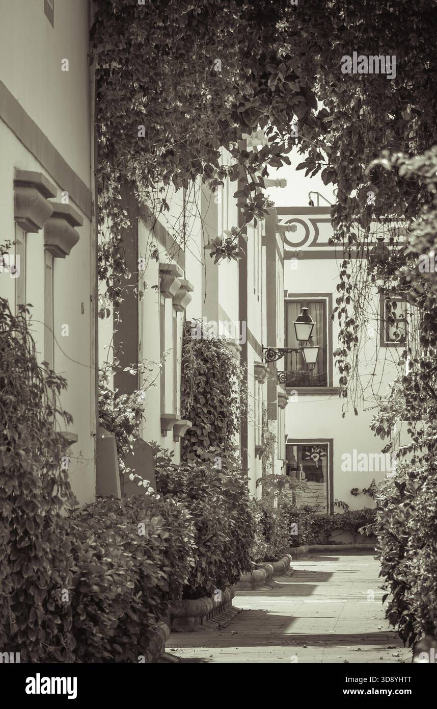 Vicolo pedonale nella zona del porto di Puerto de Mogan, un piccolo porto di pesca in Gran Canaria Isole Canarie Spagna Foto Stock