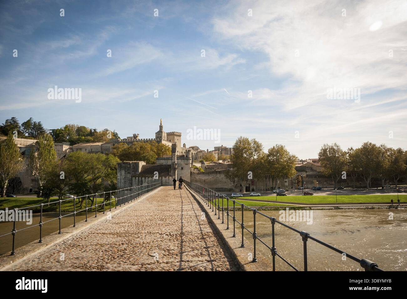 Ponte San Benezet con la città di Avignone dietro, Avignon, Francia Foto Stock